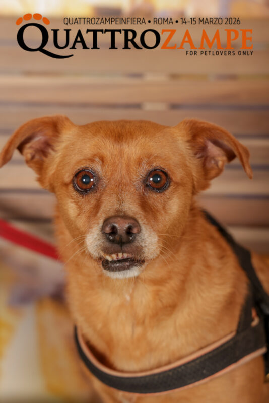 Concorso Fotografico - QuattroZampe in Fiera - Roma - Marzo 2026