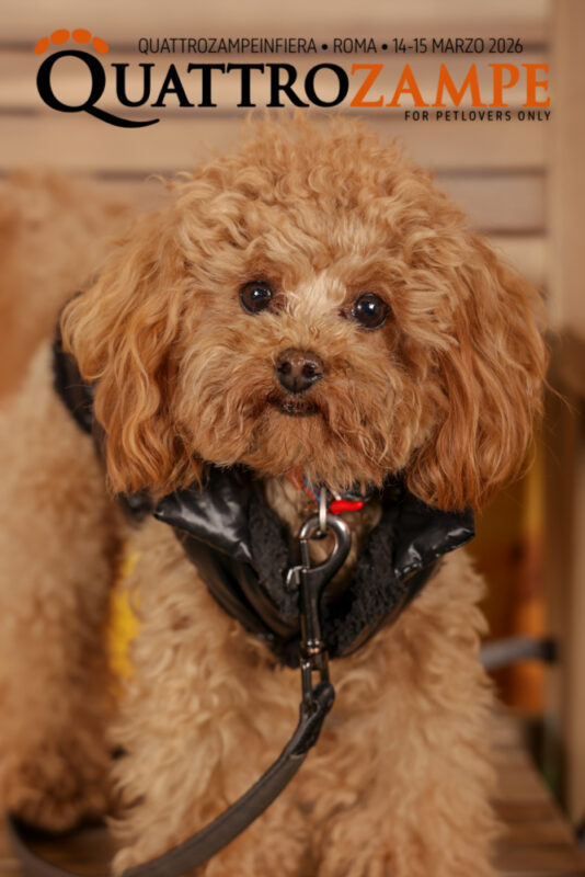 Concorso Fotografico - QuattroZampe in Fiera - Roma - Marzo 2026