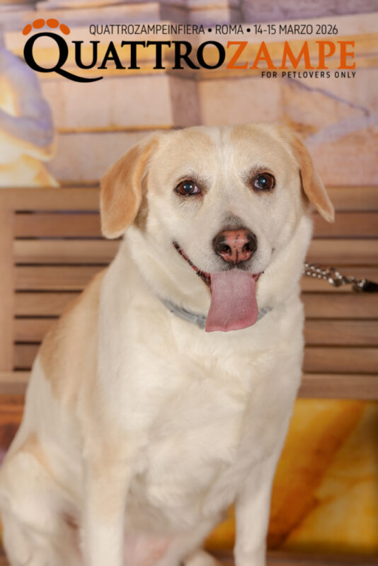 Concorso Fotografico - QuattroZampe in Fiera - Roma - Marzo 2026