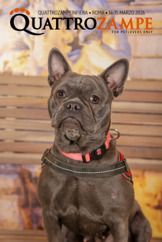 Concorso Fotografico - QuattroZampe in Fiera - Roma - Marzo 2026
