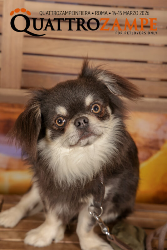Concorso Fotografico - QuattroZampe in Fiera - Roma - Marzo 2026