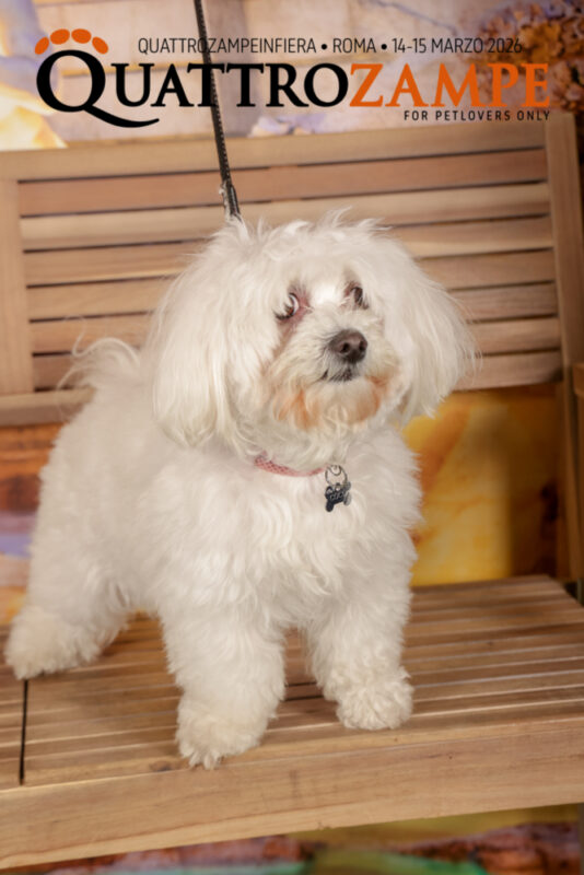 Concorso Fotografico - QuattroZampe in Fiera - Roma - Marzo 2026