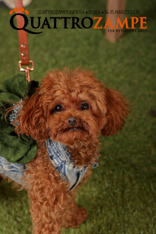 Concorso Fotografico - QuattroZampe in Fiera - Roma - Marzo 2026