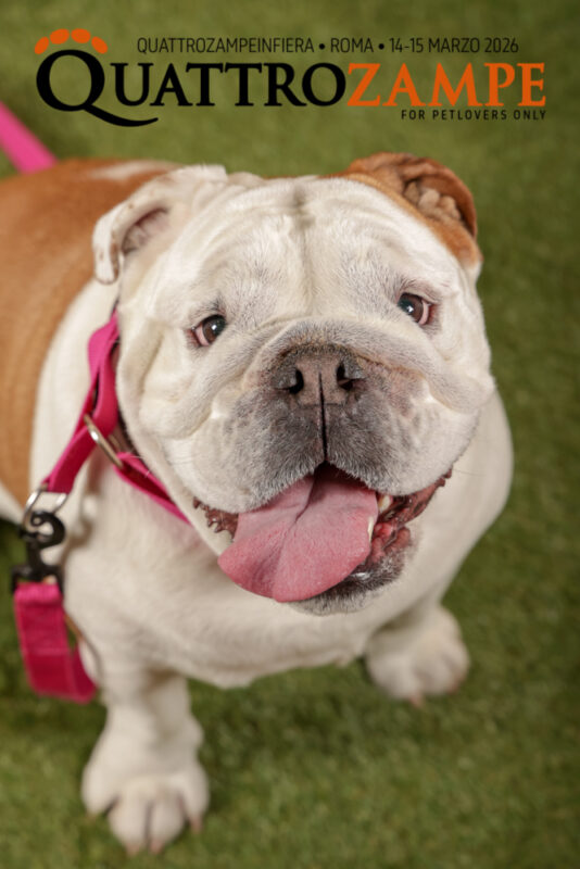 Concorso Fotografico - QuattroZampe in Fiera - Roma - Marzo 2026