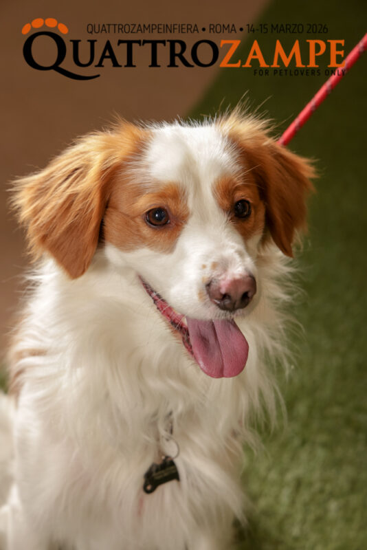 Concorso Fotografico - QuattroZampe in Fiera - Roma - Marzo 2026