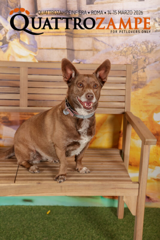 Concorso Fotografico - QuattroZampe in Fiera - Roma - Marzo 2026