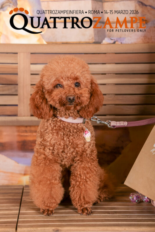 Concorso Fotografico - QuattroZampe in Fiera - Roma - Marzo 2026