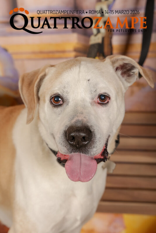 Concorso Fotografico - QuattroZampe in Fiera - Roma - Marzo 2026