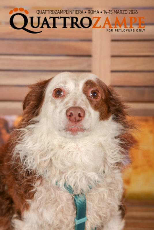 Concorso Fotografico - QuattroZampe in Fiera - Roma - Marzo 2026