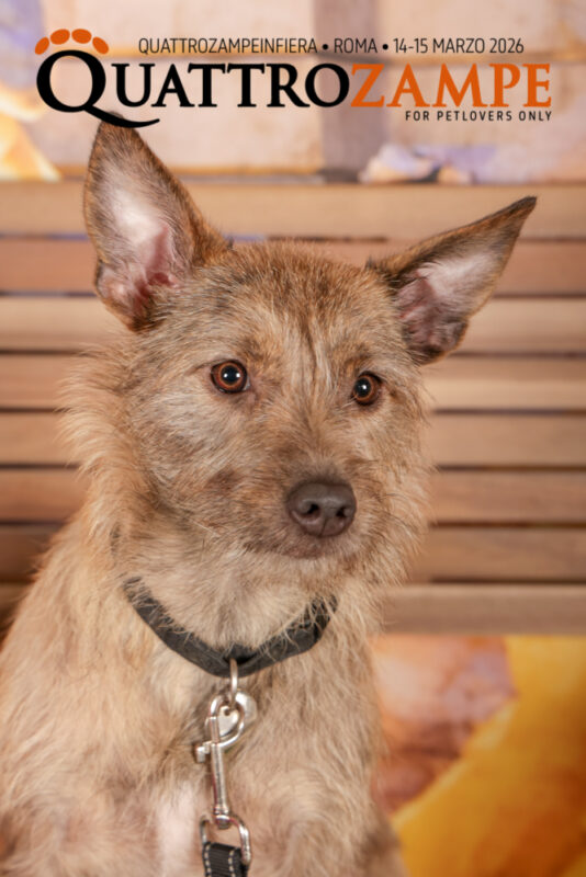 Concorso Fotografico - QuattroZampe in Fiera - Roma - Marzo 2026