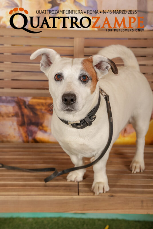 Concorso Fotografico - QuattroZampe in Fiera - Roma - Marzo 2026