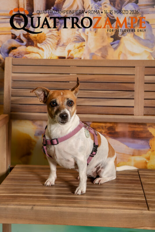Concorso Fotografico - QuattroZampe in Fiera - Roma - Marzo 2026