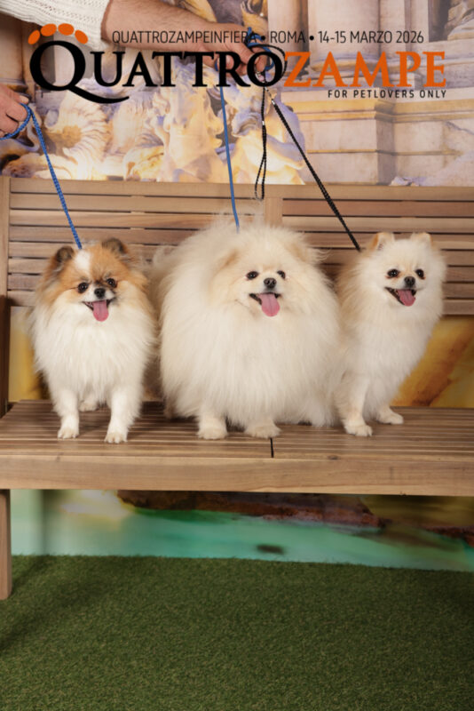 Concorso Fotografico - QuattroZampe in Fiera - Roma - Marzo 2026