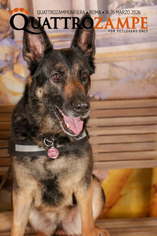 Concorso Fotografico - QuattroZampe in Fiera - Roma - Marzo 2026
