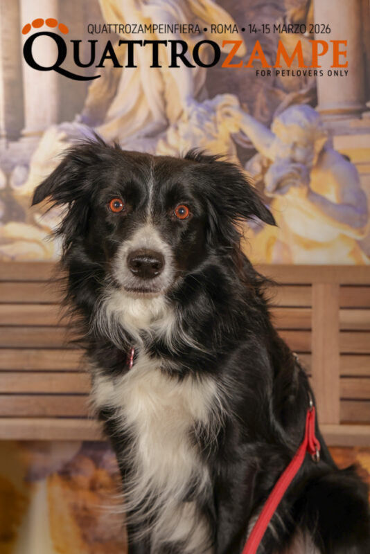 Concorso Fotografico - QuattroZampe in Fiera - Roma - Marzo 2026