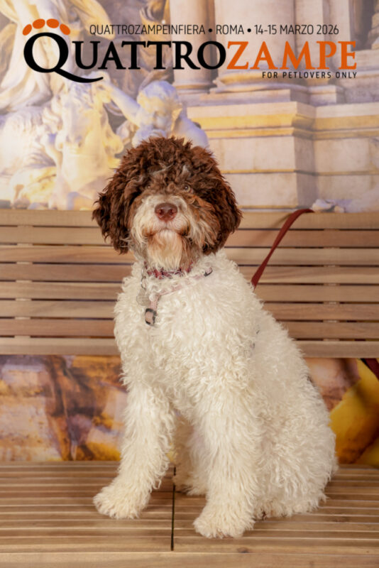 Concorso Fotografico - QuattroZampe in Fiera - Roma - Marzo 2026