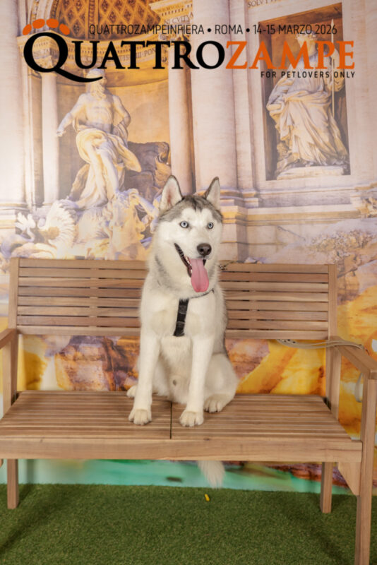 Concorso Fotografico - QuattroZampe in Fiera - Roma - Marzo 2026