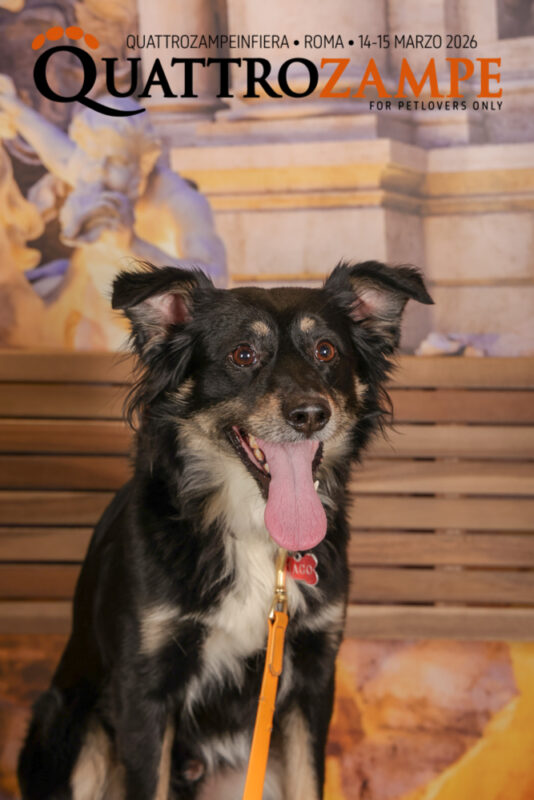 Concorso Fotografico - QuattroZampe in Fiera - Roma - Marzo 2026
