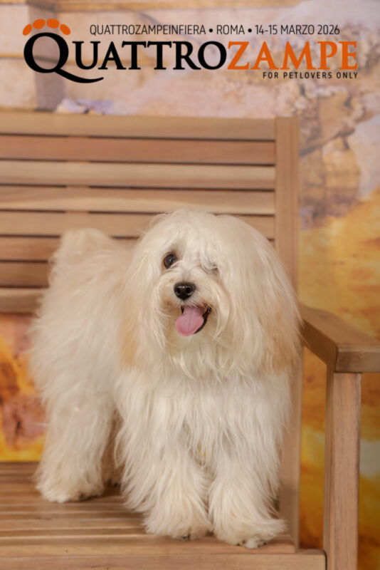 Concorso Fotografico - QuattroZampe in Fiera - Roma - Marzo 2026