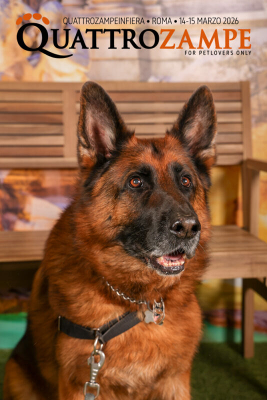 Concorso Fotografico - QuattroZampe in Fiera - Roma - Marzo 2026