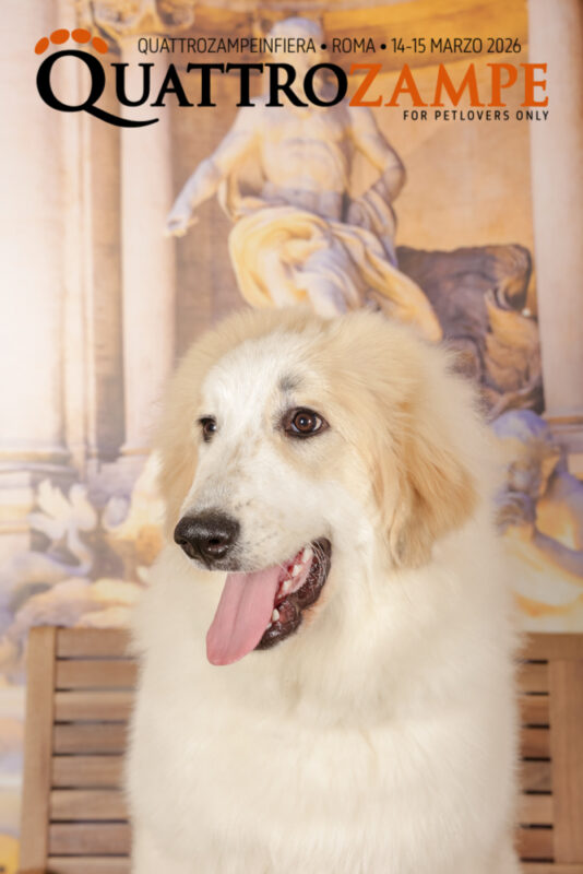 Concorso Fotografico - QuattroZampe in Fiera - Roma - Marzo 2026