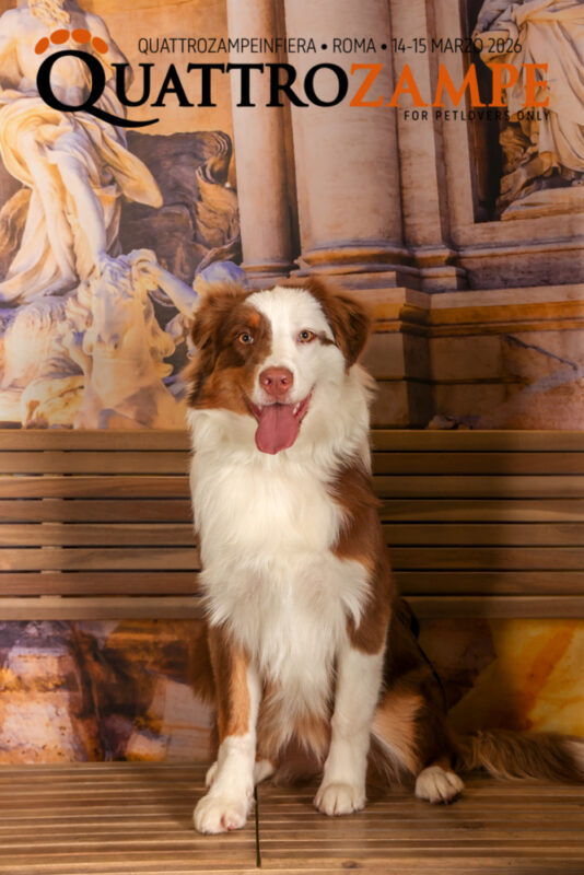 Concorso Fotografico - QuattroZampe in Fiera - Roma - Marzo 2026