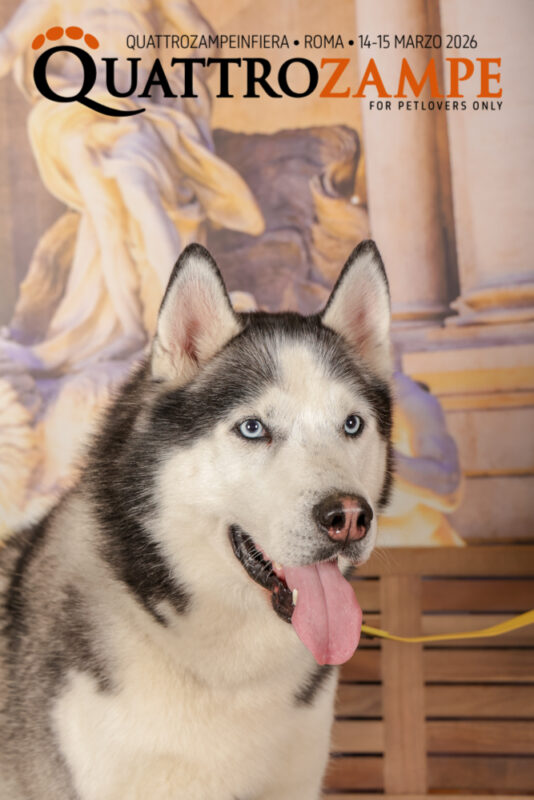 Concorso Fotografico - QuattroZampe in Fiera - Roma - Marzo 2026