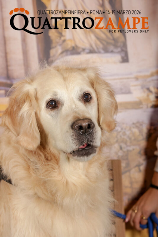 Concorso Fotografico - QuattroZampe in Fiera - Roma - Marzo 2026