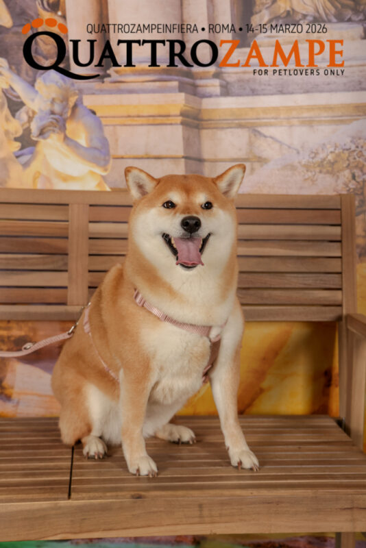 Concorso Fotografico - QuattroZampe in Fiera - Roma - Marzo 2026