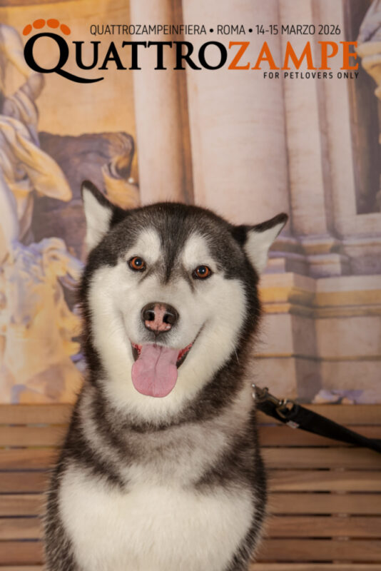 Concorso Fotografico - QuattroZampe in Fiera - Roma - Marzo 2026