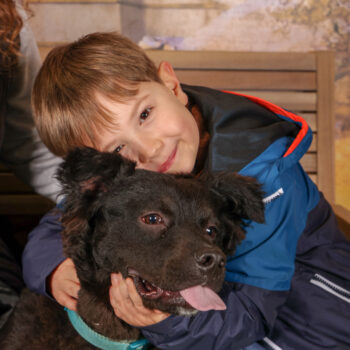 Concorso Fotografico - QuattroZampe in Fiera - Roma - Marzo 2026