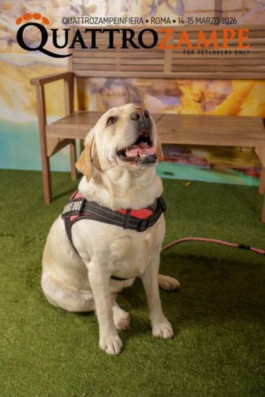 Concorso Fotografico - QuattroZampe in Fiera - Roma - Marzo 2026