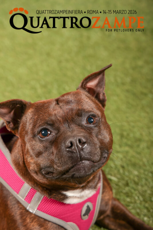 Concorso Fotografico - QuattroZampe in Fiera - Roma - Marzo 2026