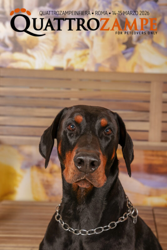 Concorso Fotografico - QuattroZampe in Fiera - Roma - Marzo 2026