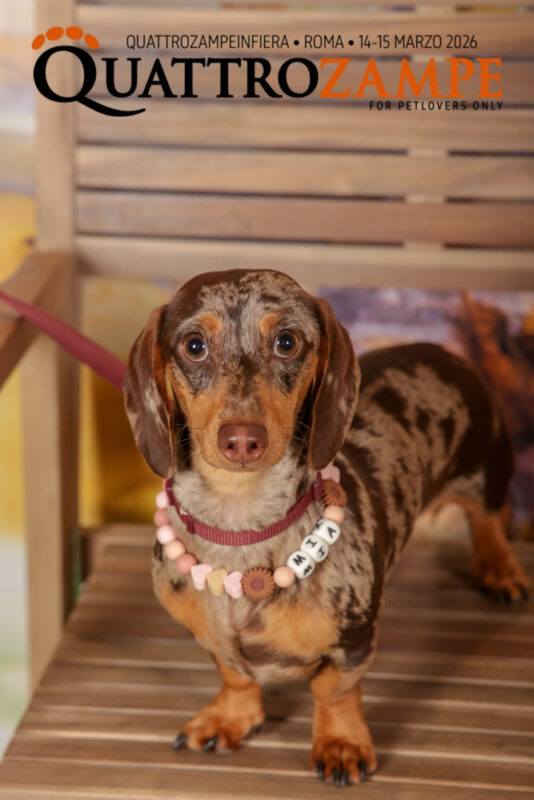 Concorso Fotografico - QuattroZampe in Fiera - Roma - Marzo 2026