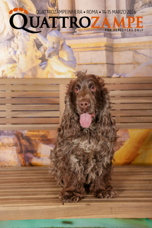 Concorso Fotografico - QuattroZampe in Fiera - Roma - Marzo 2026