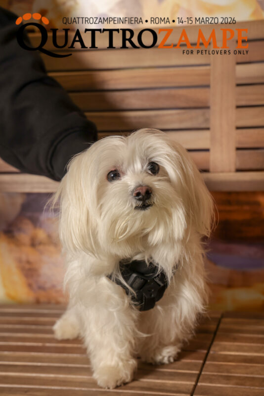Concorso Fotografico - QuattroZampe in Fiera - Roma - Marzo 2026