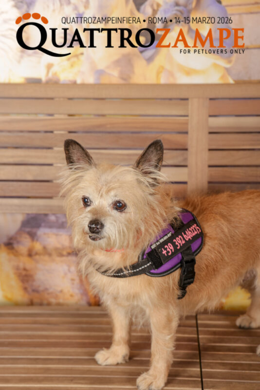 Concorso Fotografico - QuattroZampe in Fiera - Roma - Marzo 2026