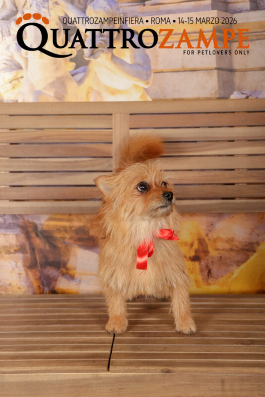 Concorso Fotografico - QuattroZampe in Fiera - Roma - Marzo 2026
