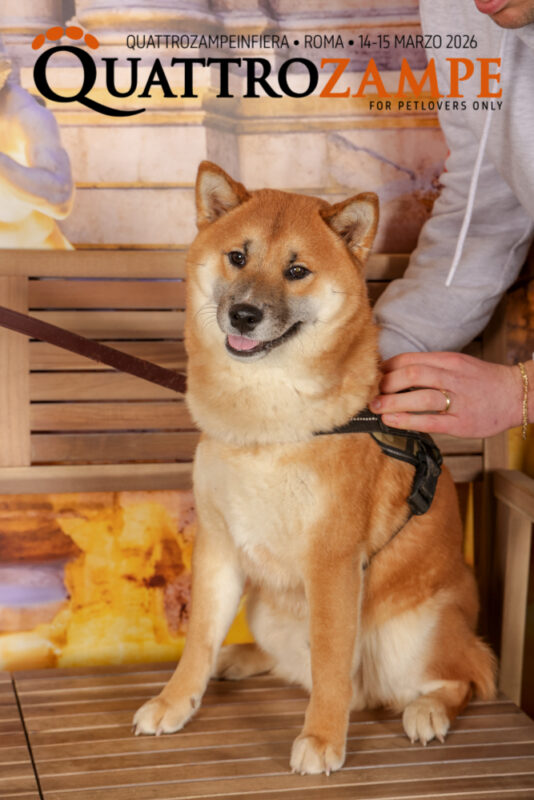 Concorso Fotografico - QuattroZampe in Fiera - Roma - Marzo 2026