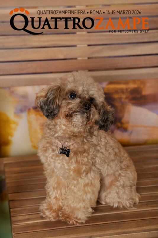 Concorso Fotografico - QuattroZampe in Fiera - Roma - Marzo 2026