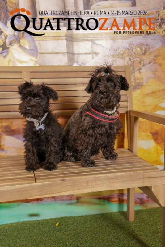 Concorso Fotografico - QuattroZampe in Fiera - Roma - Marzo 2026