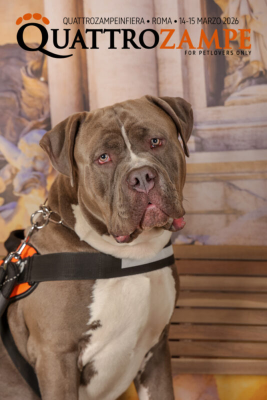 Concorso Fotografico - QuattroZampe in Fiera - Roma - Marzo 2026