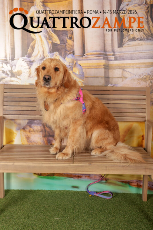 Concorso Fotografico - QuattroZampe in Fiera - Roma - Marzo 2026