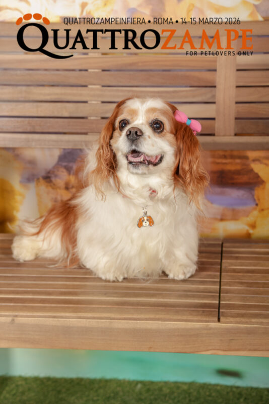 Concorso Fotografico - QuattroZampe in Fiera - Roma - Marzo 2026