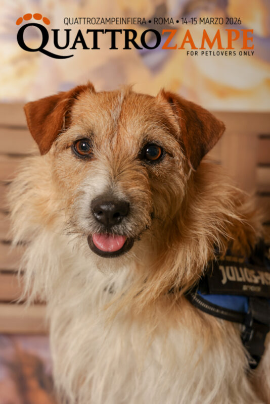Concorso Fotografico - QuattroZampe in Fiera - Roma - Marzo 2026