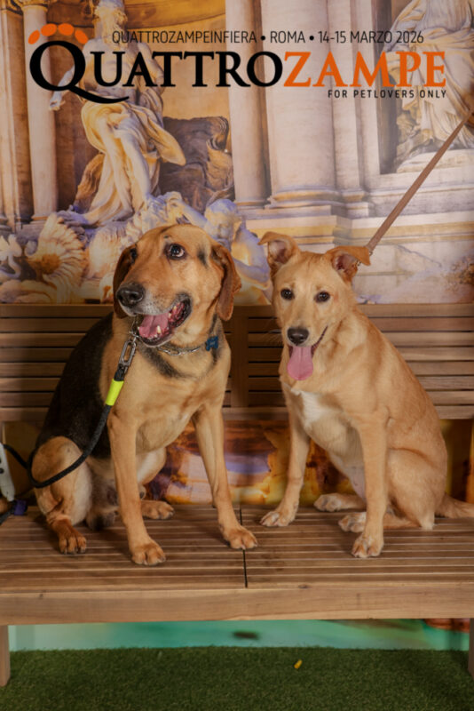 Concorso Fotografico - QuattroZampe in Fiera - Roma - Marzo 2026