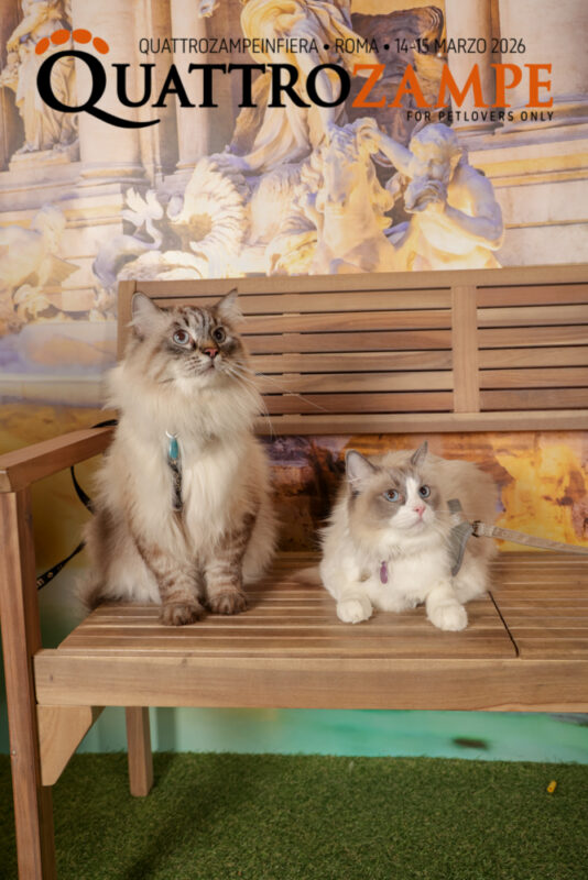 Concorso Fotografico - QuattroZampe in Fiera - Roma - Marzo 2026