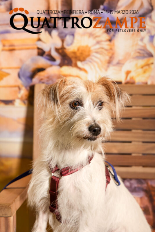 Concorso Fotografico - QuattroZampe in Fiera - Roma - Marzo 2026