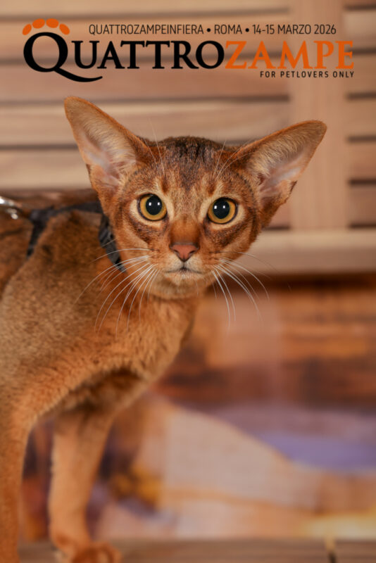 Concorso Fotografico - QuattroZampe in Fiera - Roma - Marzo 2026